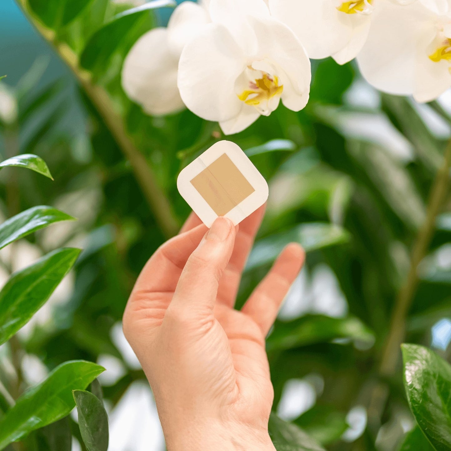 Sanotape für die Schönheit Deiner Haut.