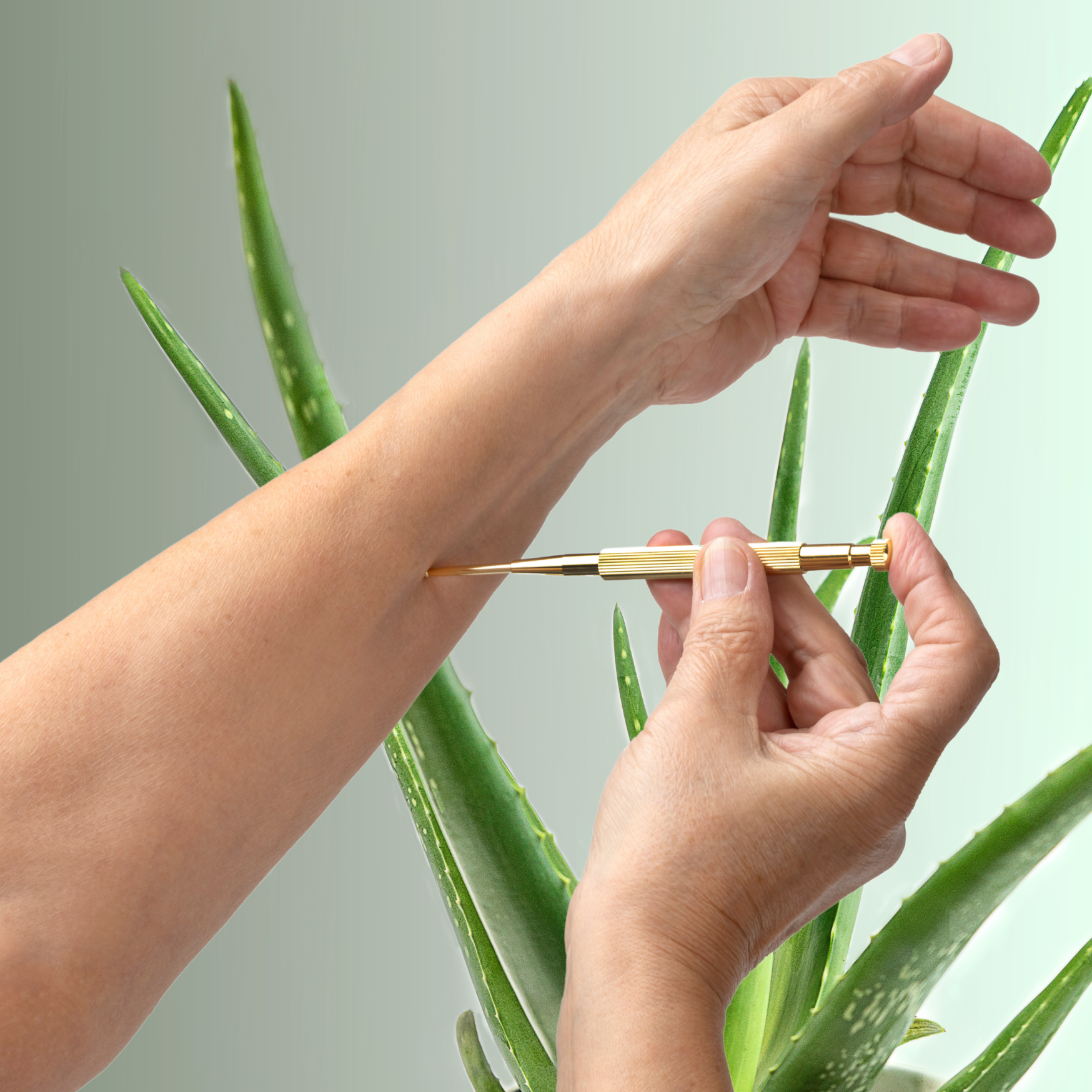 Akupunkturstift für den Einsatz auf Akupunkturpunkten mit Federung.