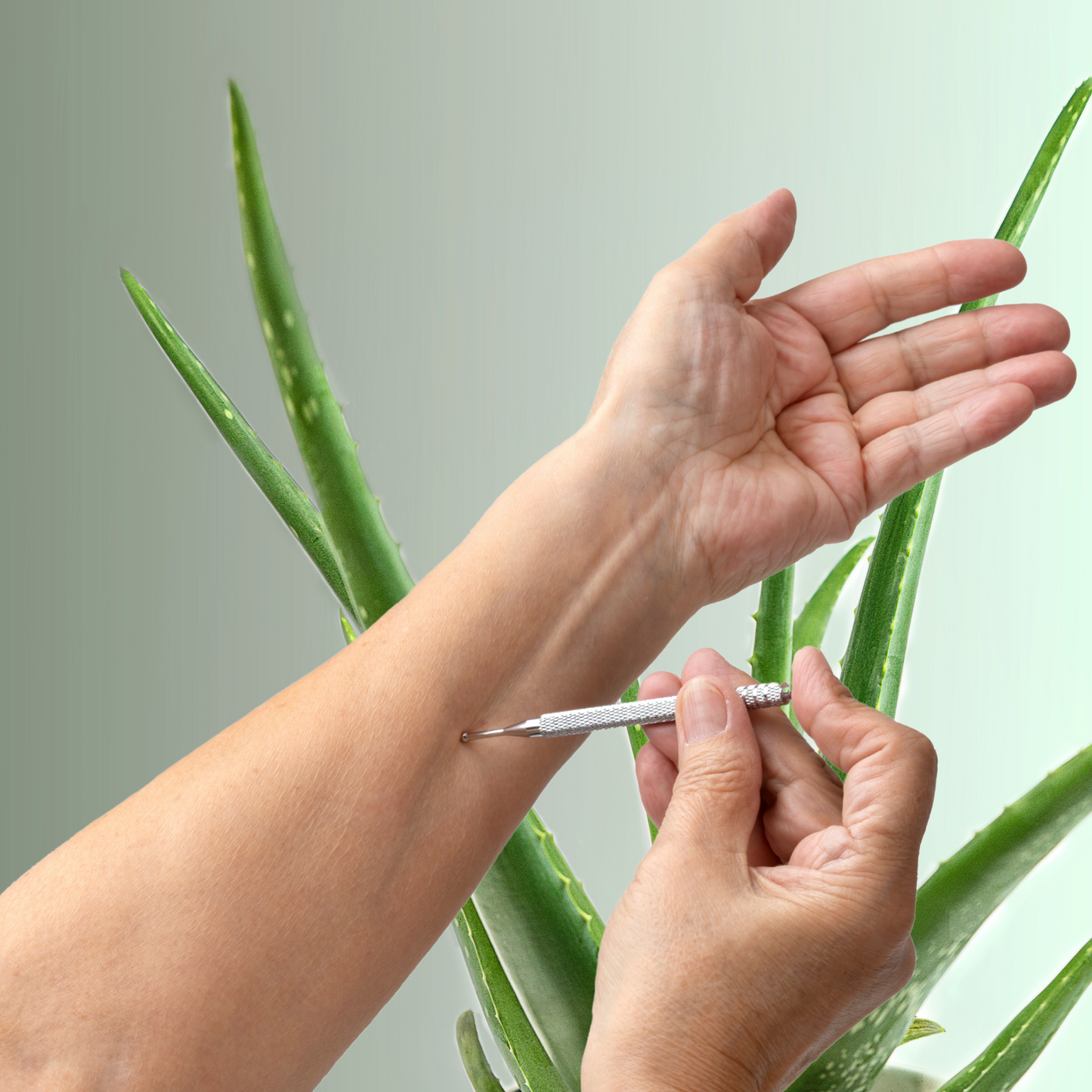 Meridianstift zum Ziehen der Meridiane am Körper.